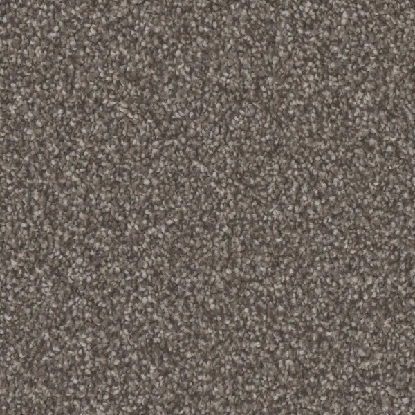 Phenix Carpets Oasis Platinum Tumbleweed PHENIX