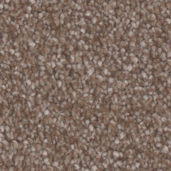 Phenix Carpets Oasis Platinum Prickly Pear PHENIX