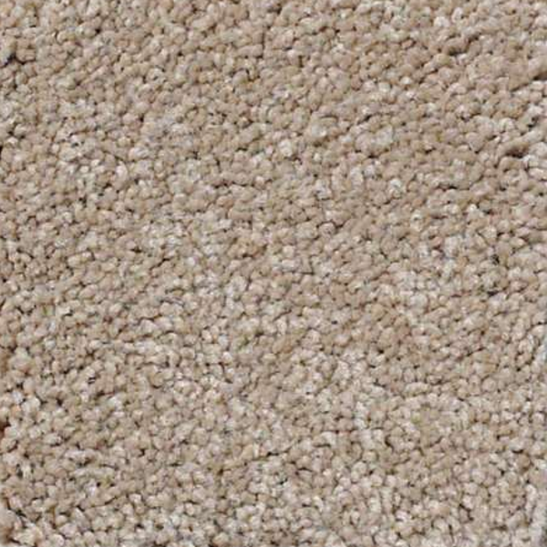 Shaw Floors Magic At Last III 15' Shell SHAW