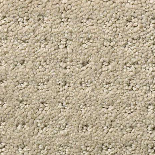 Shaw Floors Nottingham Thunder Cloud SHAW