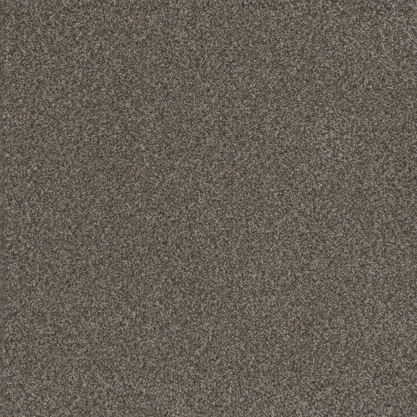 Dreamweaver Carpet Titan III Woodford DREAMWEAVER