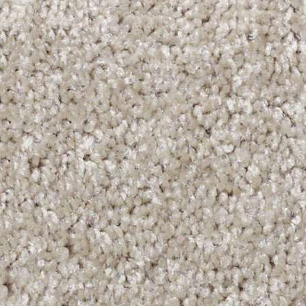 Shaw Floors Parlay Abalone SHAW