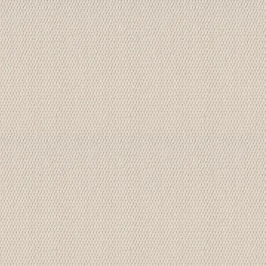 Shaw Floors Naturalistic Champagne Toast SHAW