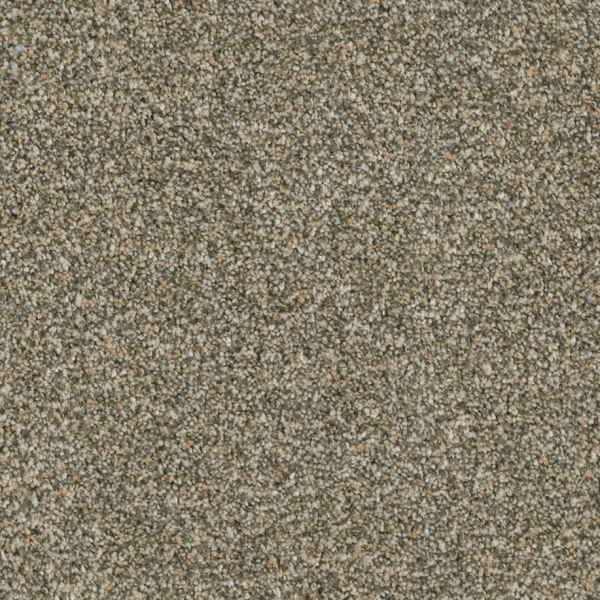 Dreamweaver Carpet Brazen II Olympic DREAMWEAVER