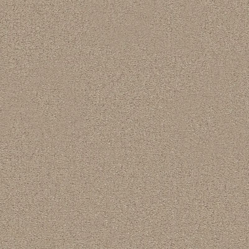 Tuftex Finery Sand Bar SHAW