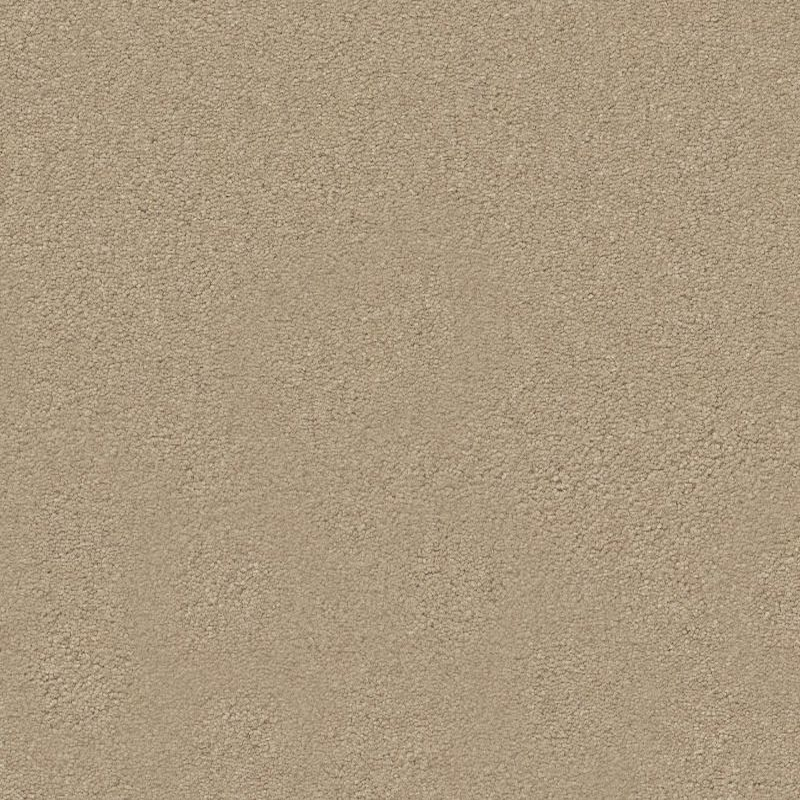 Tuftex Finery Toasted Almond SHAW