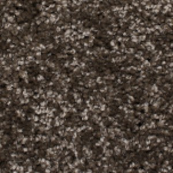 Phenix Carpets First Light MO Velocity PHENIX