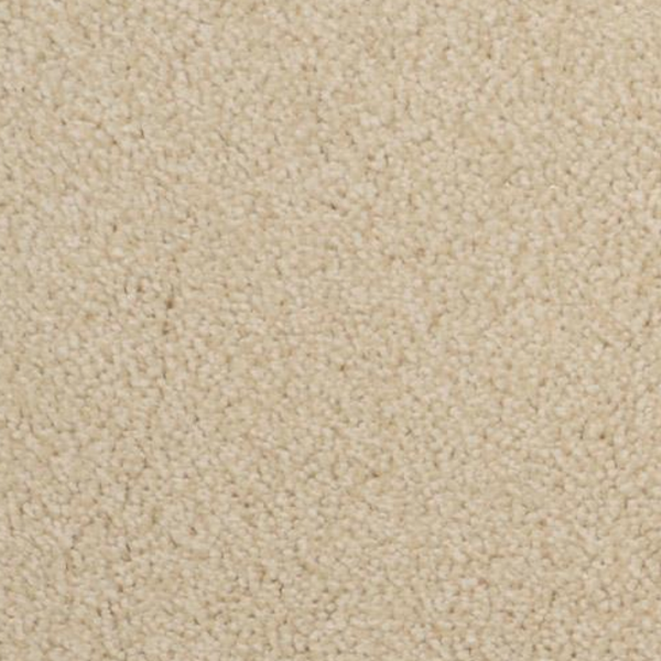 Dixie Home Morning Mist Montuno