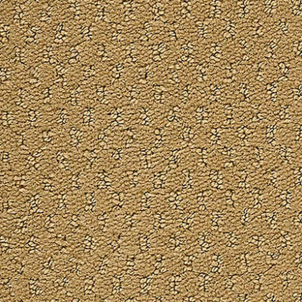 Aladdin Commercial Classic Update Golden Nectar Mohawk