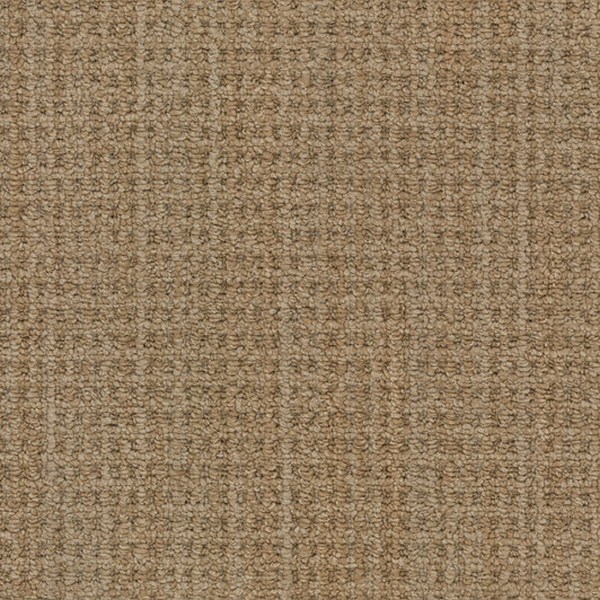 Masland Carpets Winslow Flagstaff Masland