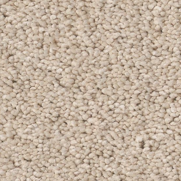 Tuftex Enduring Charm Tapioca SHAW