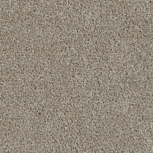 Dreamweaver Carpet Acclaim Vela DREAMWEAVER