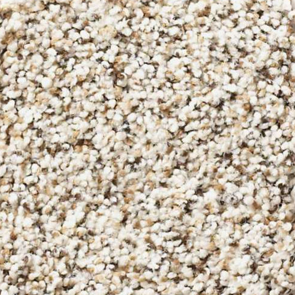 Shaw Floors Elemental Mix I Pixels SHAW