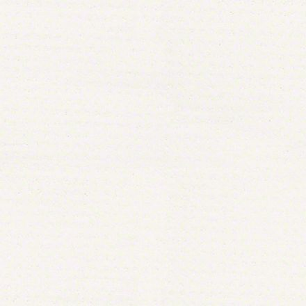 Shaw Floors Alluring Disposition White Hot SHAW