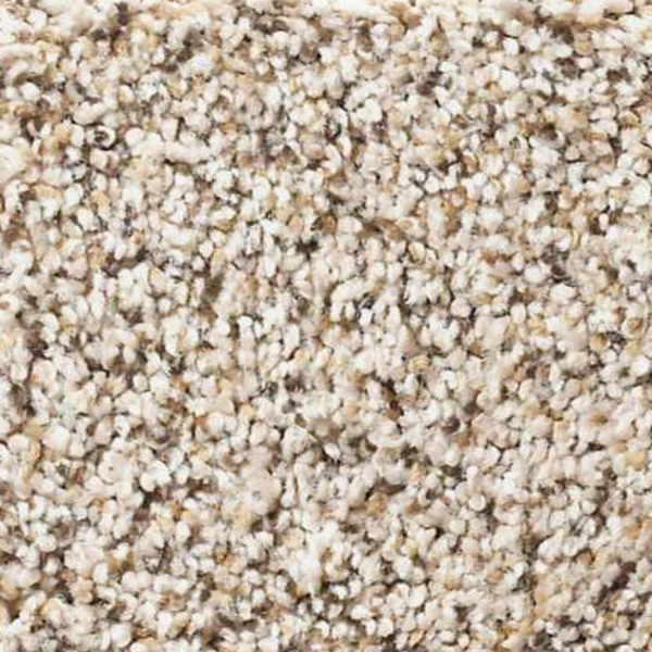 Shaw Floors Elemental Mix II Gentle Rain SHAW