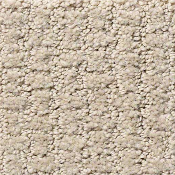 Shaw Floors Complete Control Studio Taupe SHAW