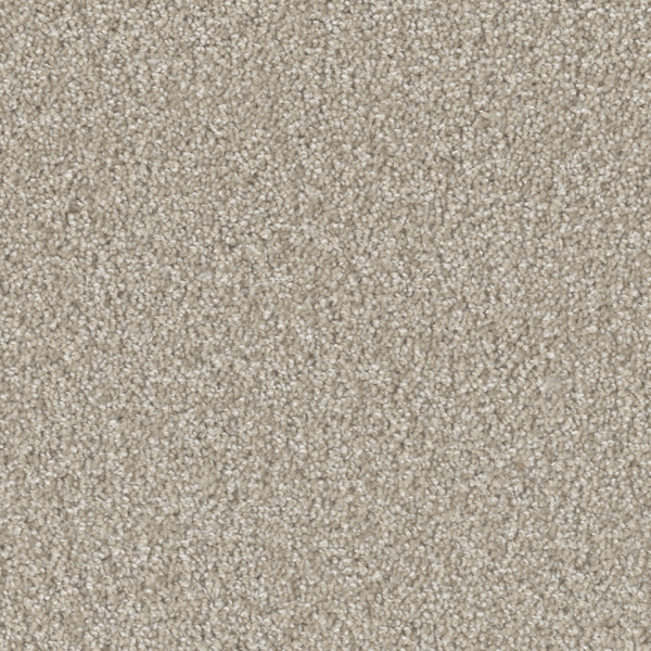 Dreamweaver Carpet Broadcast Plus Cameo DREAMWEAVER