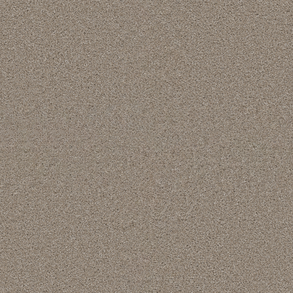 Dreamweaver Carpet Exceptional II Cameo DREAMWEAVER