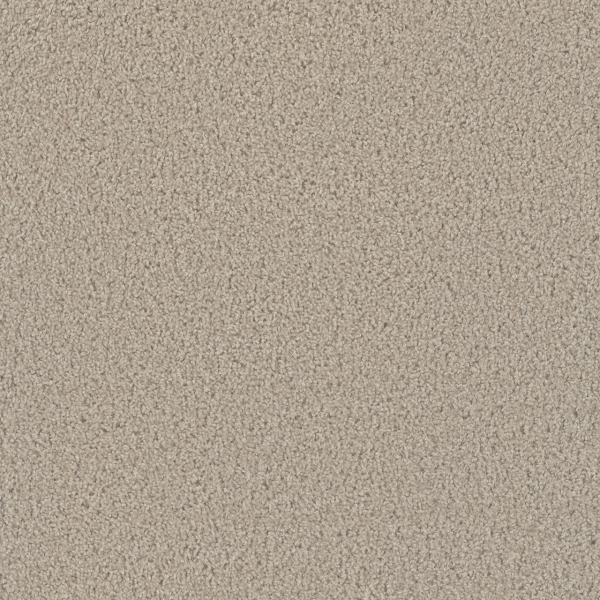 Dreamweaver Carpet Tracker Cameo DREAMWEAVER