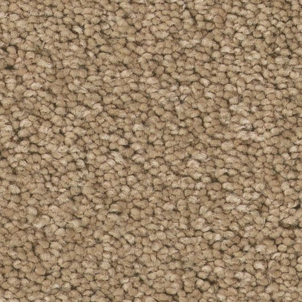 Tuftex Elegant Beauty Natural SHAW