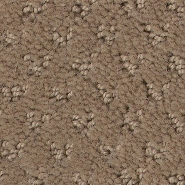 Tuftex Del Vista Sierra Hills SHAW