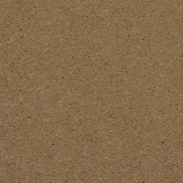 Dixie Home Spellbinding Rich Cream