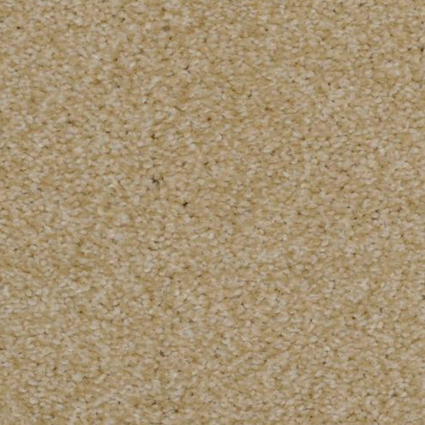 Dixie Home Spellbinding Sand Dune