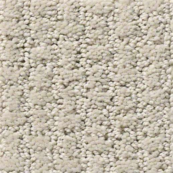 Shaw Floors Complete Control Quiet Moment SHAW