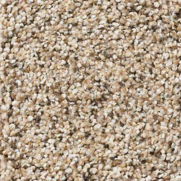 Shaw Floors Elemental Mix II Twine SHAW