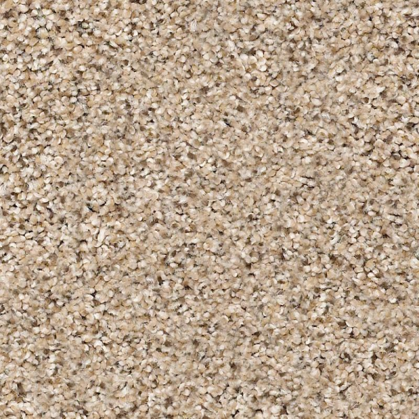 Shaw Floors Abilene II Twine SHAW