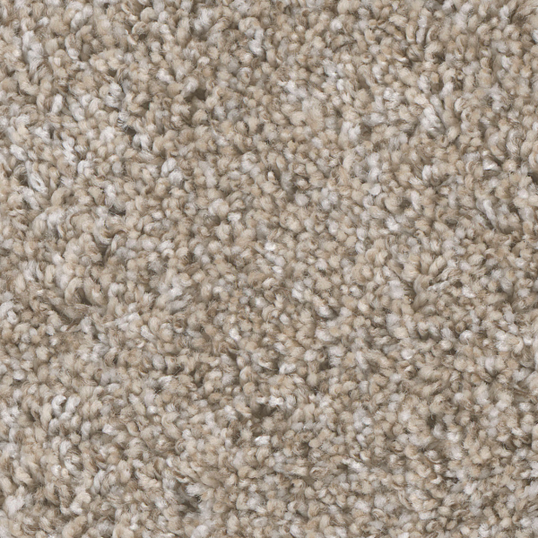 Dreamweaver Carpet Jackson Hole I Alpine Bay DREAMWEAVER