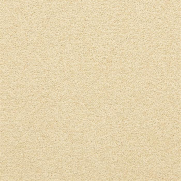 Masland Carpets Patriot Downtime Masland