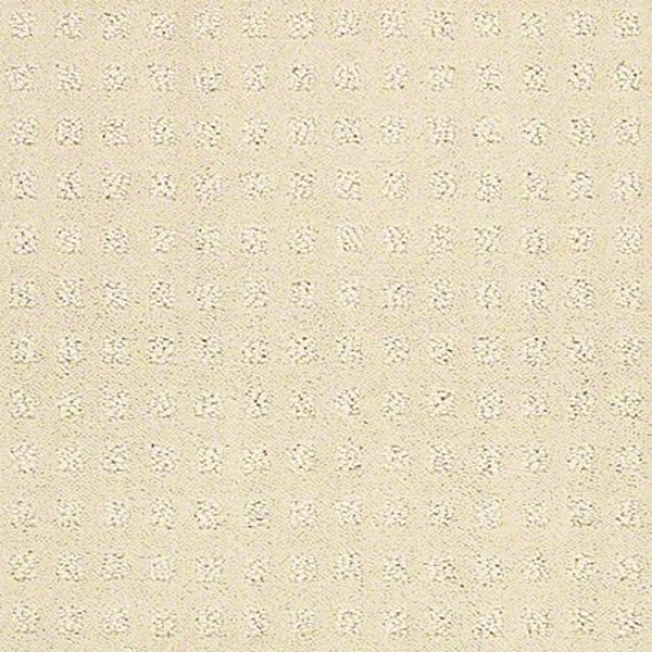 Shaw Floors Alluring Disposition Treasure SHAW