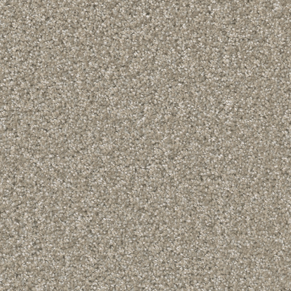Dreamweaver Carpet Broadcast Plus Clam Shell DREAMWEAVER