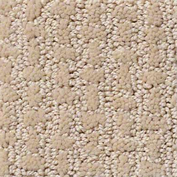 Shaw Floors Complete Control Soft Honey SHAW