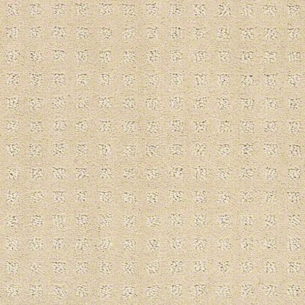 Shaw Floors Alluring Disposition Shoreline SHAW