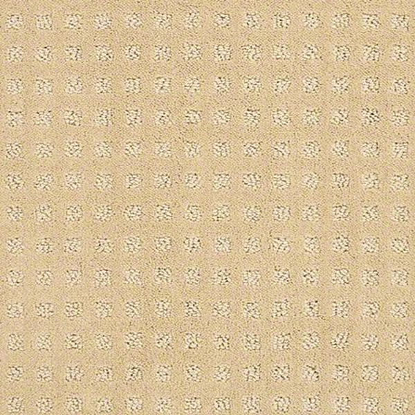 Shaw Floors Alluring Disposition Golden Rule SHAW