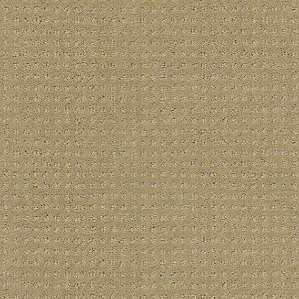 Shaw Floors Alluring Disposition Safari SHAW