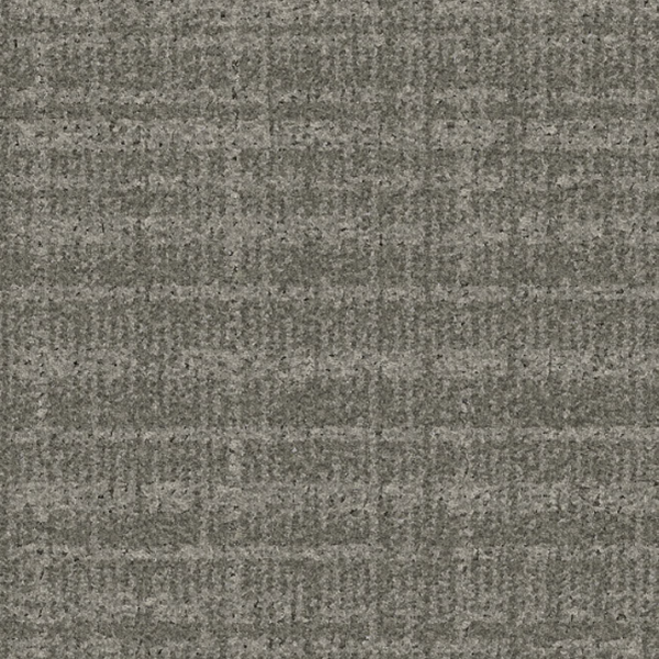 Tarkett Home Carpets Presidio Abalone LEXMARK