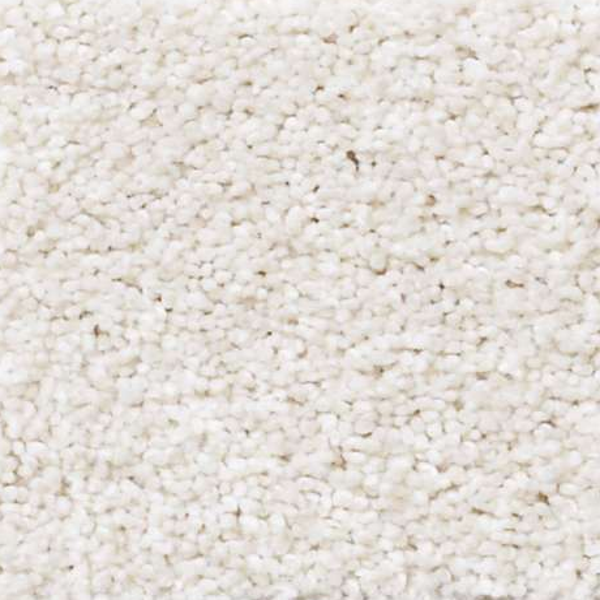 Shaw Floors Always Ready I Sentimental SHAW