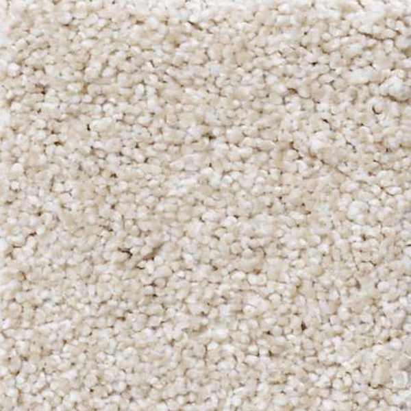 Shaw Floors Always Ready I Boutique SHAW