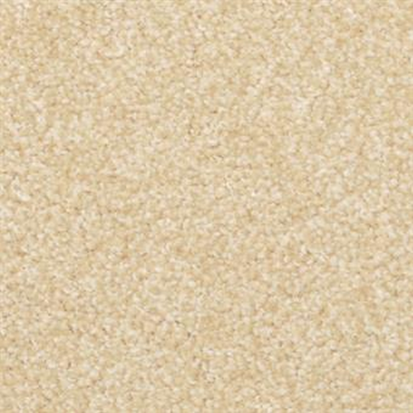 Masland Carpets Beacon Hill Dijon Masland