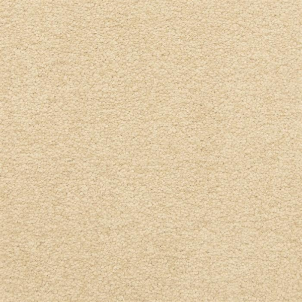 Masland Carpets Patriot Trusty Masland