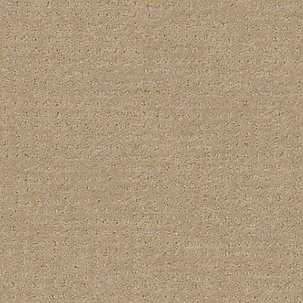 Shaw Floors Alluring Disposition Espresso SHAW