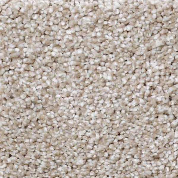 Shaw Floors Always Ready I Park Place SHAW