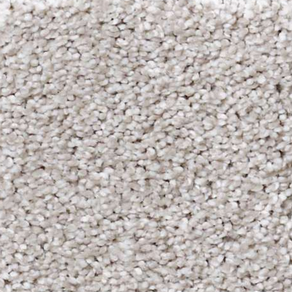 Shaw Floors Always Ready I Studio Taupe SHAW