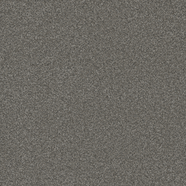 Dreamweaver Carpet Blazer I Mill Stone DREAMWEAVER