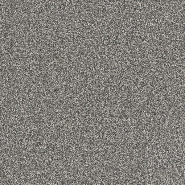 Dreamweaver Carpet Windy City I Millstone DREAMWEAVER