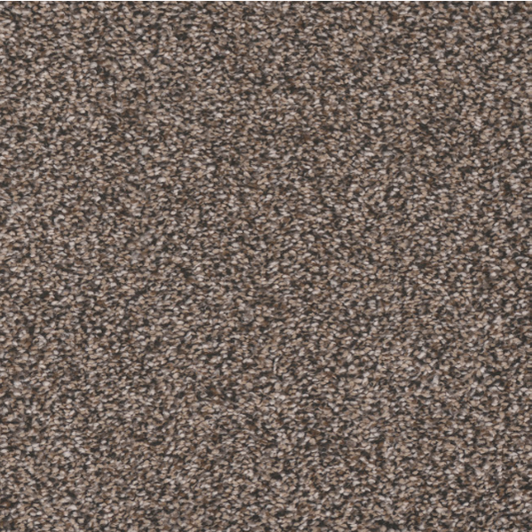 Tarkett Home Carpets Inman Park Cape Code LEXMARK