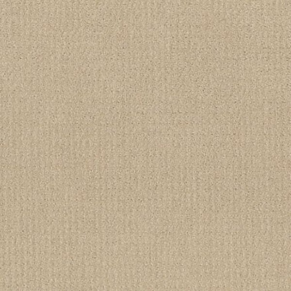 Shaw Floors Translate Candle Glow SHAW